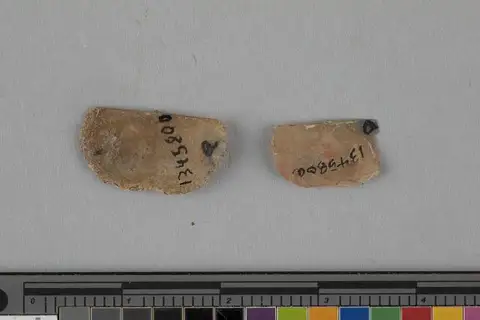 Dokumentasi USNM PAL134580 dengan identifikasi pada sumber Lissochonetes geinitzianus. Isi dan label gambar dipertahankan.
