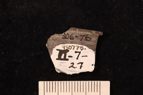 Dokumentasi YPM IP 450775 dengan identifikasi pada sumber Hammatostroma albertense. Isi dan label gambar dipertahankan.