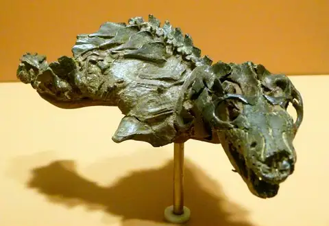 Dokumentasi USNM V22812 dengan identifikasi pada sumber Thrinaxodon liorhinus. Isi dan label gambar dipertahankan.