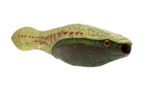 Model ikan tanpa rahang Arandaspis prionotolepis, koleksi P 231098.