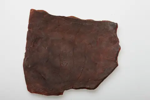 Dokumentasi P 44066 dengan identifikasi pada sumber Spriggina floundersi. Isi dan label gambar dipertahankan.