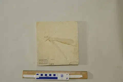 Dokumentasi YPM IP 222405 dengan identifikasi pada sumber Isophlebia aspasia. Isi dan label gambar dipertahankan.