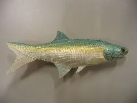 Model ikan bersirip kipas Mimipiscis toombsi, koleksi P 231237.