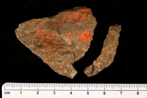 Dokumentasi YPM VP 000827 dengan identifikasi pada sumber Chamasaurus dolichognathus. Isi dan label gambar dipertahankan.
