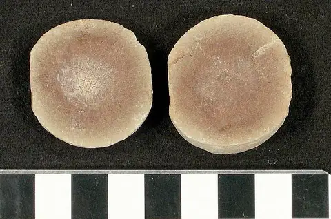 Dokumentasi USNM V4392 dengan identifikasi pada sumber Sagenodus browniae. Isi dan label gambar dipertahankan.