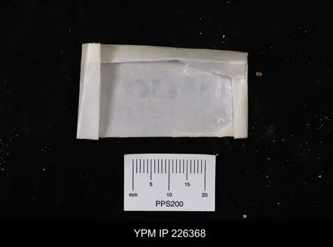 Dokumentasi YPM IP 226368 dengan identifikasi pada sumber Oleneothyris harlani. Isi dan label gambar dipertahankan.
