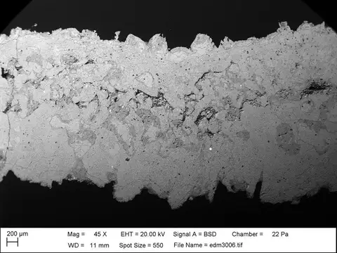 Dokumentasi PI BZ 7747 SEM edm3006-18 dengan identifikasi pada sumber Reptadeonella toddi. Isi dan label gambar dipertahankan.