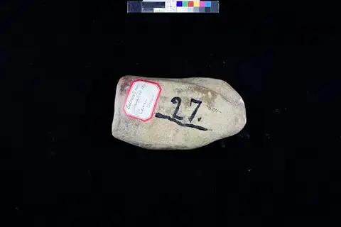 Dokumentasi USNM V6011 dengan identifikasi pada sumber Aspidorhynchus comptoni. Isi dan label gambar dipertahankan.