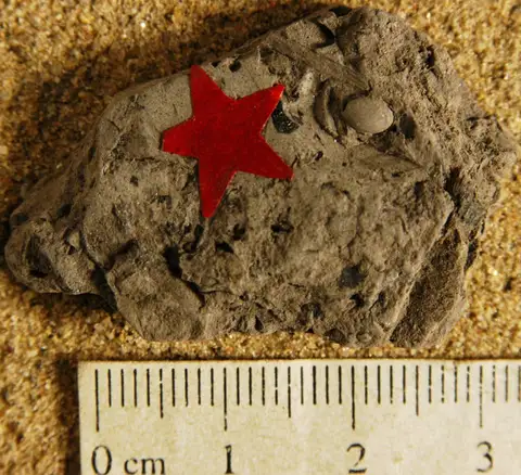 Dokumentasi YPM PB 027780 dengan identifikasi pada sumber Carpolithus mattewanensis. Isi dan label gambar dipertahankan.