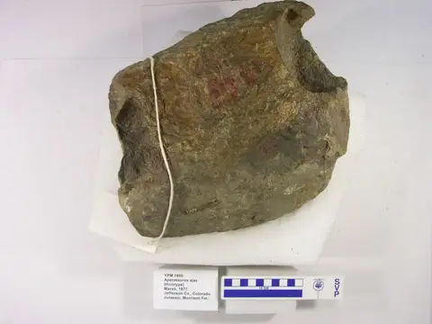 Dokumentasi YPM VP 001860 dengan identifikasi pada sumber Apatosaurus ajax. Isi dan label gambar dipertahankan.