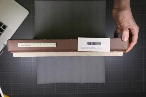 Dokumentasi YPM VP 001781 dengan identifikasi pada sumber Compsognathus longipes. Isi dan label gambar dipertahankan.
