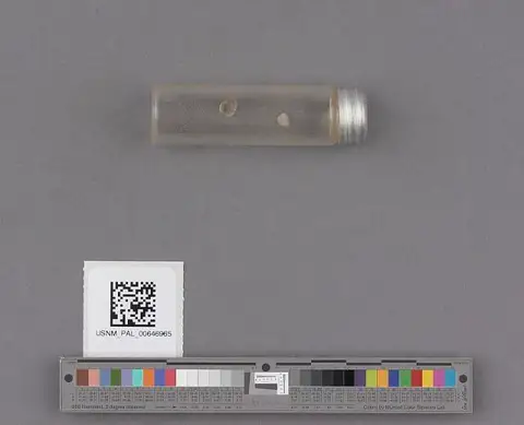 Dokumentasi USNM PAL646965 dengan identifikasi pada sumber Nucula taphria. Isi dan label gambar dipertahankan.